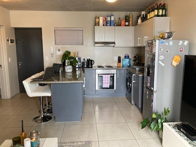 To Let 2 Bedroom Property for Rent in Observatory Western Cape